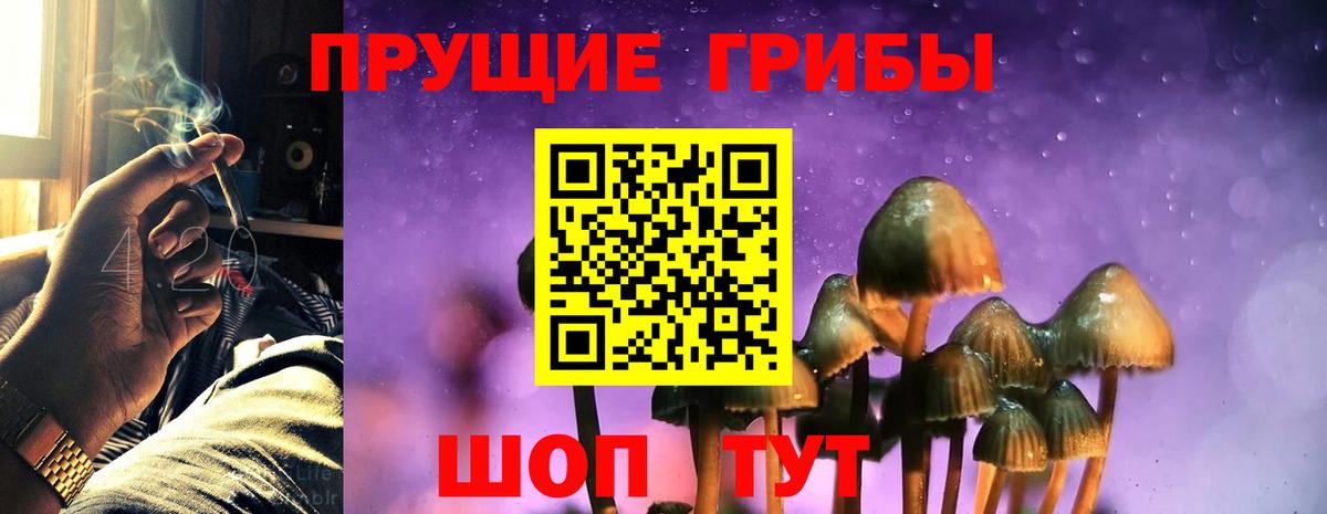 Псилоцибиновые грибы Psilocybe  Вход с VPN  где можно купить наркотик  Корсаков  Галлюциногенные грибы ЛСД 