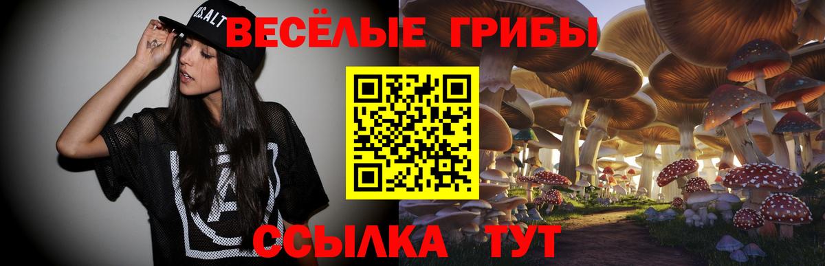 Галлюциногенные грибы Psilocybine cubensis Корсаков